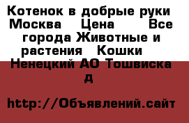 Котенок в добрые руки. Москва. › Цена ­ 5 - Все города Животные и растения » Кошки   . Ненецкий АО,Тошвиска д.